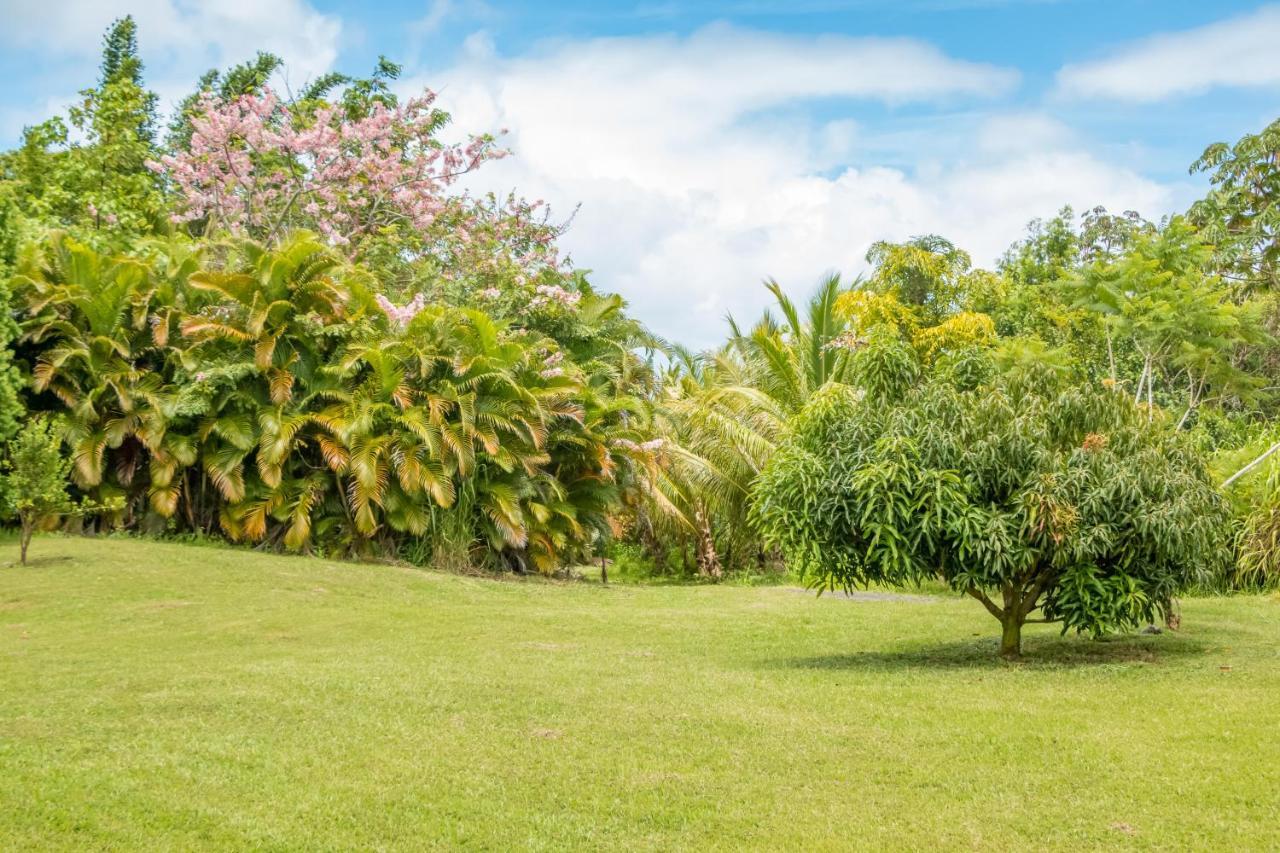 Off-Grid Getaway With Ocean Views In Paradise Pahoa Exterior foto
