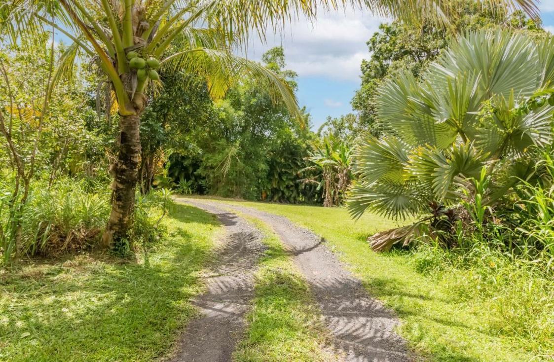 Off-Grid Getaway With Ocean Views In Paradise Pahoa Exterior foto
